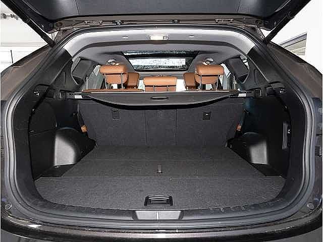 Hyundai SANTA FE Santa Fe Premium blue 4WD 2.2 CRDi*Allrad Niveau*Panorama*Navi*